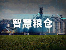 實時監(jiān)測+智能預(yù)警！松柏傳感氣體傳感器助力綠色儲糧